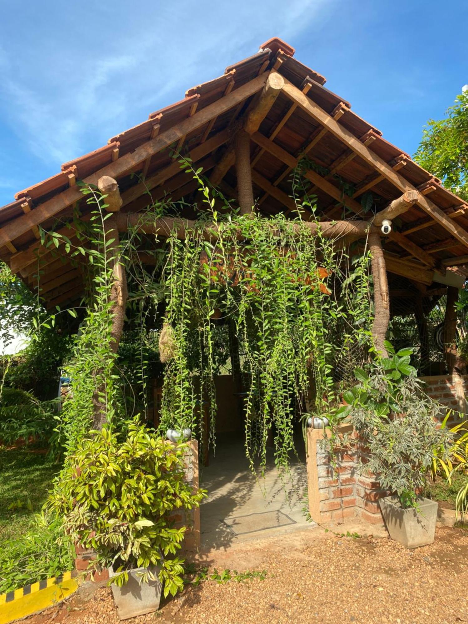 Hotel Hanguk Villa Dambulla Exterior photo